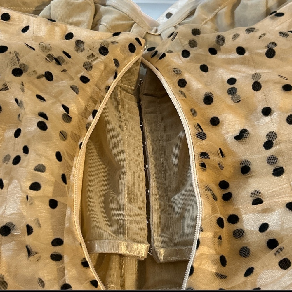 MAJORELLE Secret Polkadot Dress in Dark Nude size small - Picture 11 of 16
